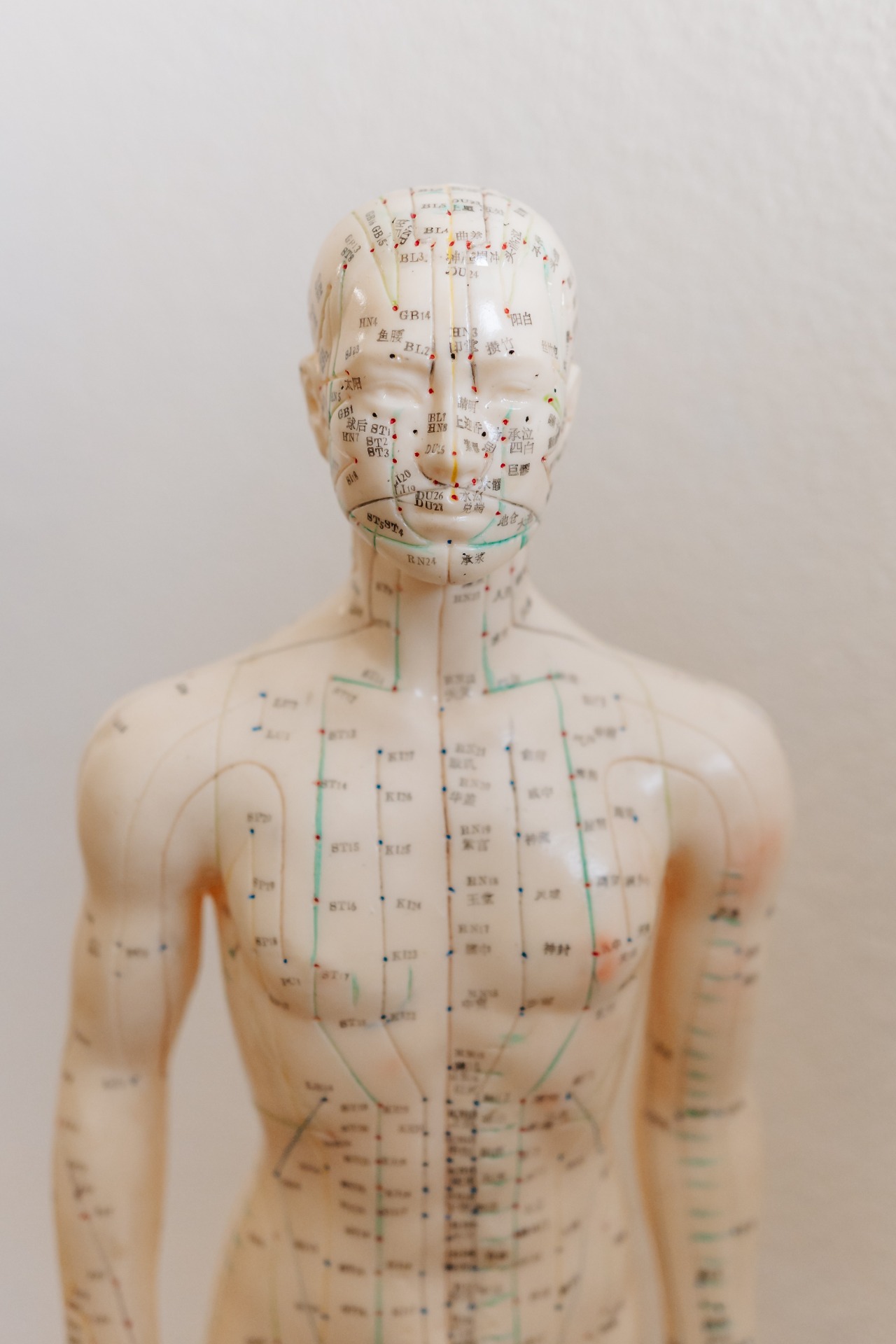 Transparenter anatomischer Körper mit beschrifteten Nervenbahnen, farbigen Punkten und Linien am Kopf und Oberkörper. Das sind unsere Energieleitsysteme die in enger Verbindung zu unserer ganzheitlichen Gesundheit stehen.
